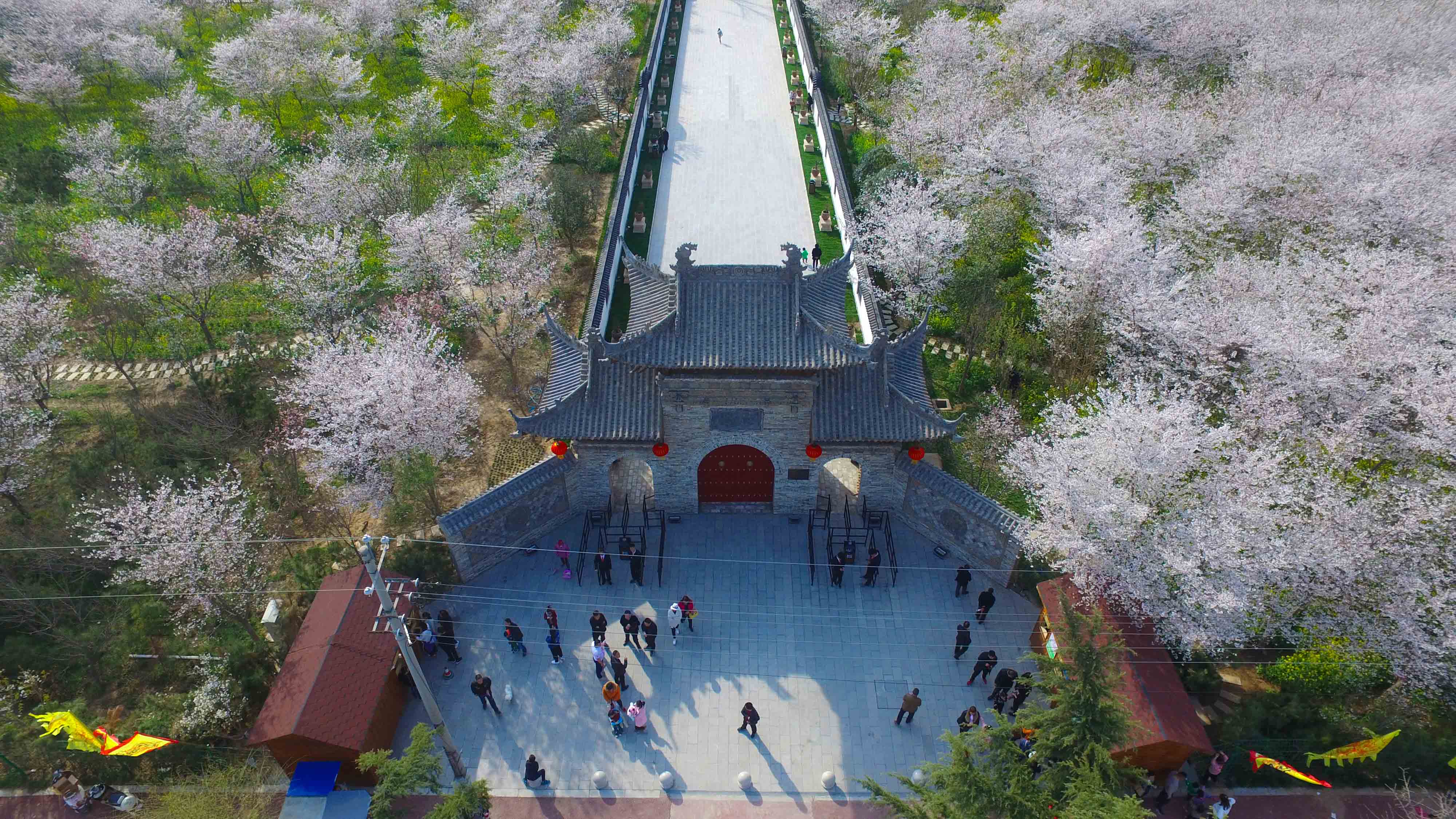 DJI_0009.jpg
