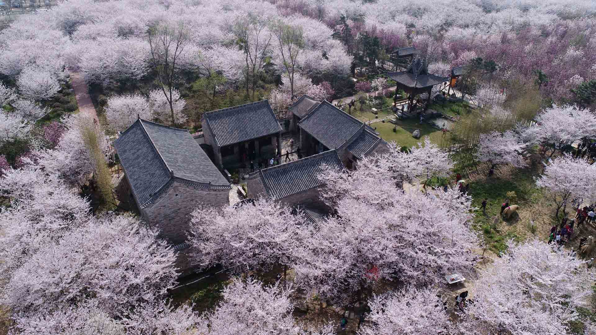 明清四合院.jpg