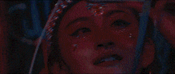 5.gif
