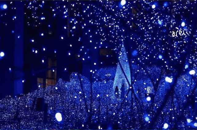 13.gif