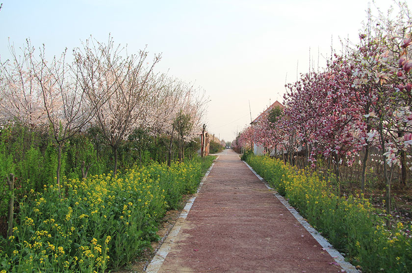绿道3.jpg
